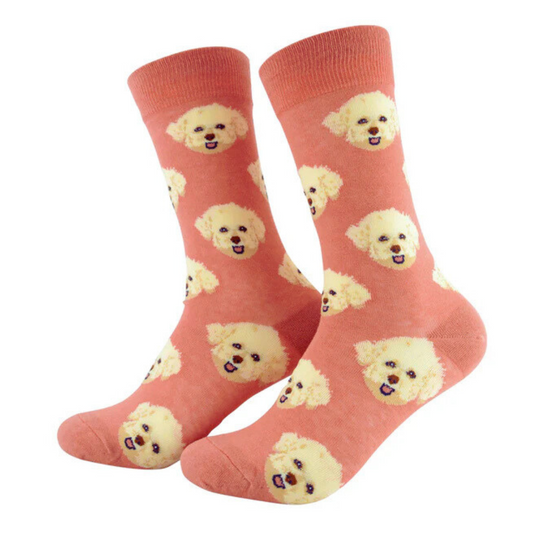 🐶 Calcetines Perro “Poodle Pop” – 🧡