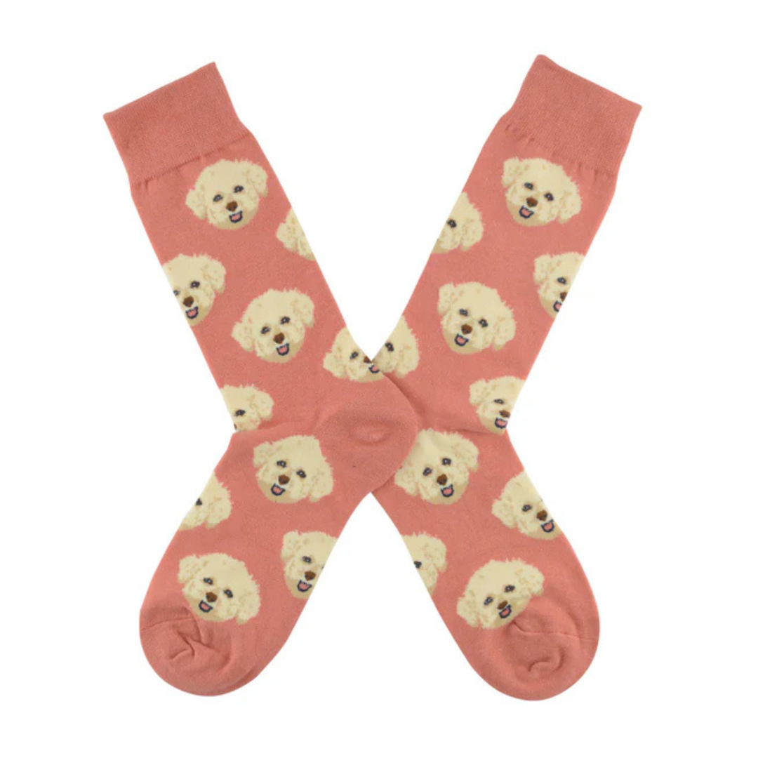 🐶 Calcetines Perro “Poodle Pop” – 🧡