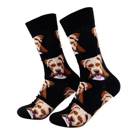 🐶 Calcetines perro "Pitbull" ❤️