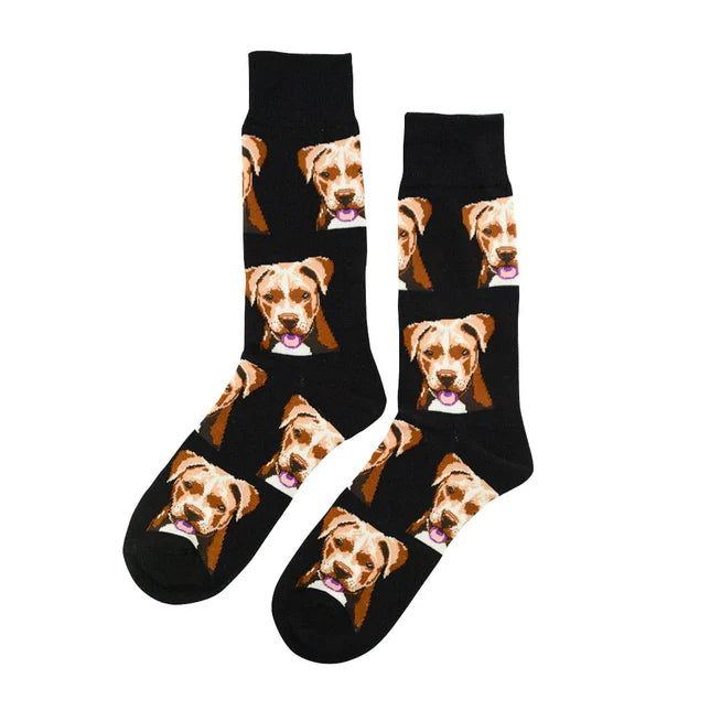 🐶 Calcetines perro "Pitbull" ❤️