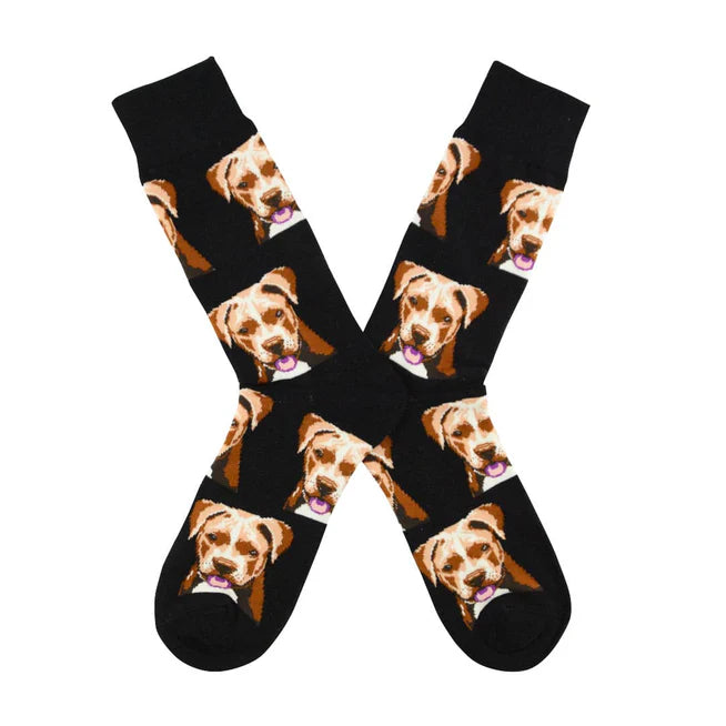 🐶 Calcetines perro "Pitbull" ❤️
