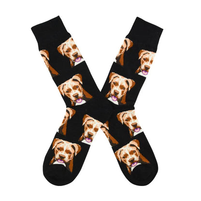 🐶 Calcetines perro "Pitbull" ❤️